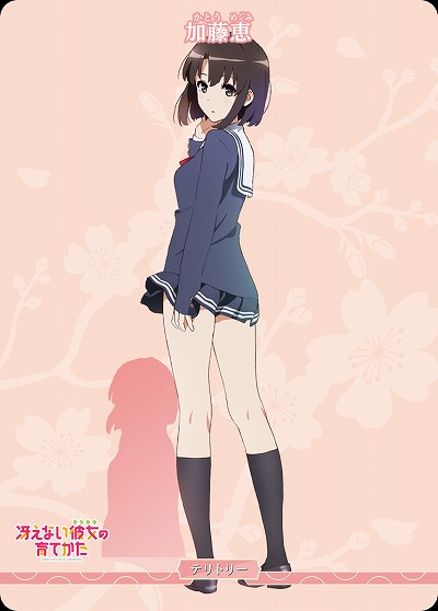 目指すべき道(加藤 恵) 【BB/SHS/003aN】